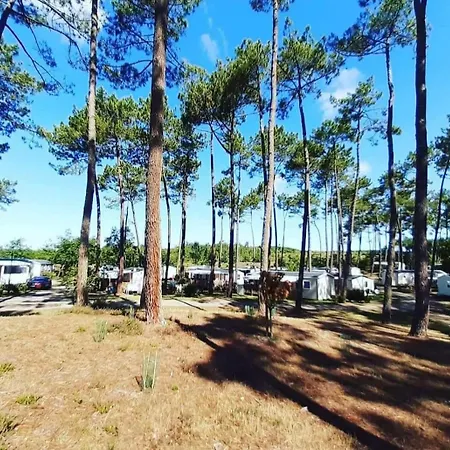 Apartment Les Dunes De Contis 4 Etoiles Empl 182 3ch 1sdb 6 Pers Saint-Julien-en-Born
